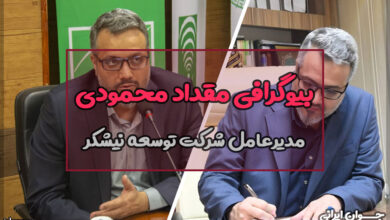 بیوگرافی مقداد محمودی