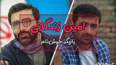 بیوگرافی امین زندگانی